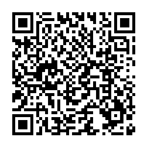 ――大概只有肖张那个疯子才敢在这么多人的注视下对当代教宗出手二维码生成