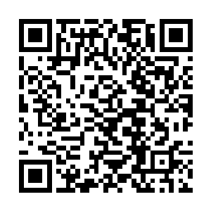 ……今年是文化部和广电总局一起倡议的少儿文化年二维码生成