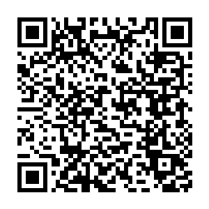 ……你……不要难过……其实我……从来都没有喜欢过……你……二维码生成