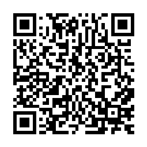 一个不听话的工具――但我的确把你看作是一个很重要的朋友二维码生成