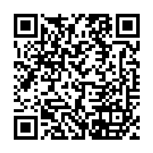 一个充满了祥和气息的声音确实忽然从不远处响了起来二维码生成