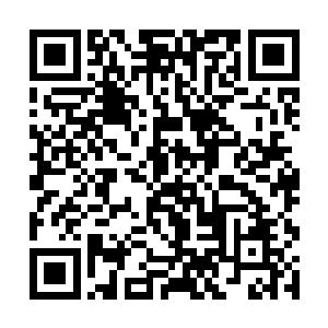 一个正常人不会因为地上一群蝼蚁的挑衅而动怒一样二维码生成