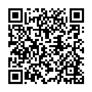 一个没有管束的世界正在肆无忌惮的宣泄着自己的野性二维码生成