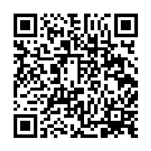 一个白生生的手掌铁锤一般已经砸在了一名侍卫的手腕上二维码生成