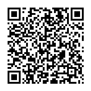 一个面目清冷的眼镜少年轻轻用手指敲了敲新生导航处3号窗口的玻璃窗二维码生成