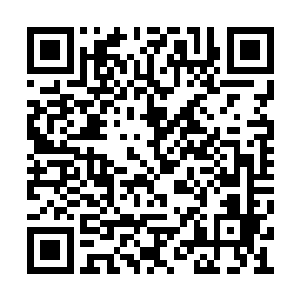 一会儿他们便会面试想要参演自己电影的男主角二维码生成