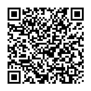 一但像是今天这样用不了多久你就可或去让你的家人领你的保险单了二维码生成
