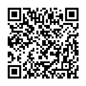 一元宗的大批强者在继续执行大清除计划的时候二维码生成