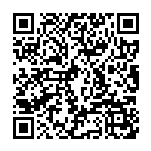一具病的半死不活的身体即便活上一百岁也只是让我受到更大的罪二维码生成