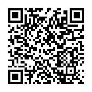 一周只有休息日回家的规定让孩子的父母们集体出动了二维码生成