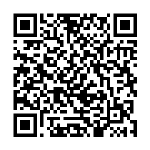 一场学校内部组织的表彰会竟然会吸引了这么多学生参加二维码生成