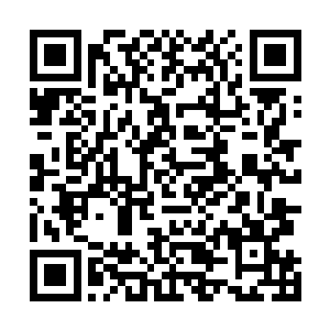 一头庞大的仿如魔鬼鱼般的巨兽正从圆柱中挣扎着挤出来二维码生成