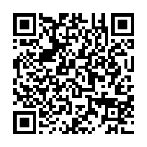 一头长着两只倒羊角一样的金色鬼鲨迅速从我们眼前路过二维码生成