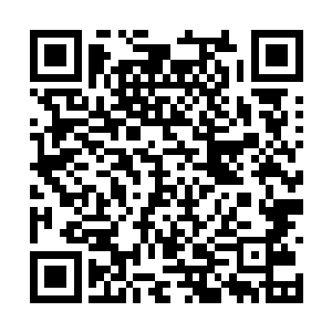 一定是许紫烟在小世界众修士离开了远古遗迹之后二维码生成