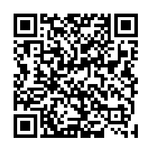 一帮下级的言行举止简直是不把这位副大统领给放在眼里二维码生成