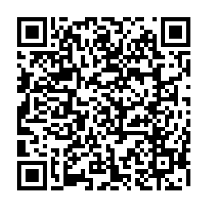 一干黑手帮的打手混混们也一个个脸色狞恶的拿着武器慢慢靠近哈克和斯内德二维码生成