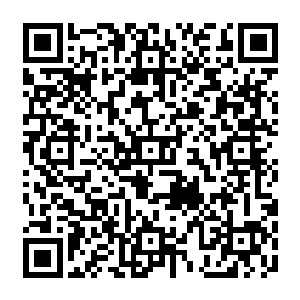 一想到当年在守城宫动不动扭着腰肢给自己摘支花的碧月夫人要挺那么久的大肚子二维码生成