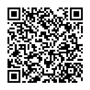 一条宽阔的路延伸到尽头便是一道巨大无比全体玉清石打造的山门二维码生成