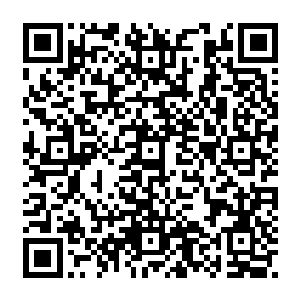 一根根锋锐的石刺也开始在一阵阵剧烈的轰鸣声中从那岩石巨人的手臂上突刺而出二维码生成