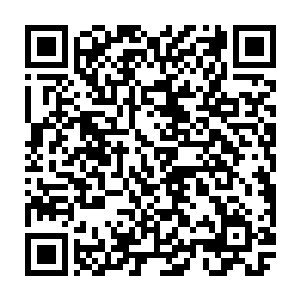 一百鬼族骑士已经如同脱缰的野马一样对所有对夜染有杀意的人展开了杀戮二维码生成