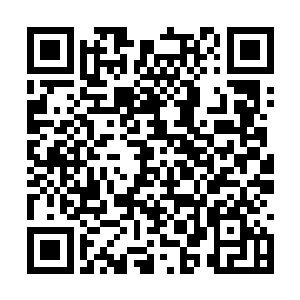 一眼便看出了梁中书的修为是筑基期第十层的修为二维码生成