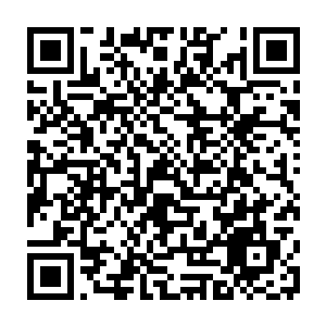 一粒粒米粒大小的翡翠泥土被一丝丝金黄色的根须像织网一般紧紧缠绕包裹住二维码生成