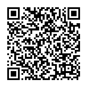 一线医生治疗组是由一个有行医资格的住院医生或年轻的主治医生二维码生成