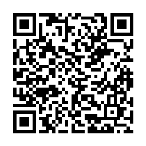 一群爆射轰杀而来的镯子被燕北虹一刀给劈飞不少二维码生成