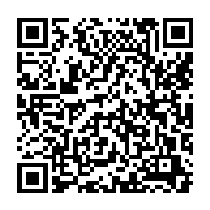 一股可怕到了极致的极寒也是瞬间爆发了出来……那早已经冻结的地面二维码生成