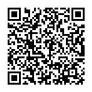 一股股恐怖的充满了毁灭和腐蚀气息的能量朝着龙傲天的体内疯狂的渗透进来二维码生成