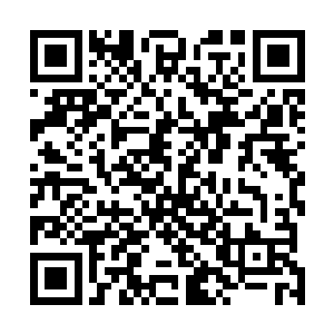 一般的杀手也是可能会放弃这样一个高积分的清扫任务的二维码生成
