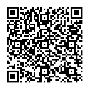 一路杀到西门的时候果然看到凤之遥依然是一身红衣风度翩翩的站在城门下笑看着自己二维码生成