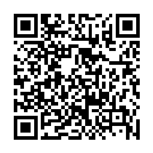 一转身忽然看到卫生间门口摆着一盆半死不活的万年青二维码生成