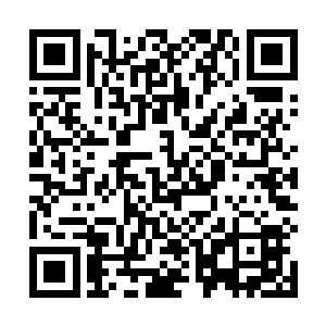 一边也把这大型传送阵的阵纹节点全部仔细的记录了下来~二维码生成