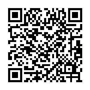 一边叫厨娘赶紧简单收拾一下跟着齐浩然一起走二维码生成