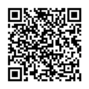 一进行宫的门阿青就发现了这儿和京城里的皇宫大不一样二维码生成