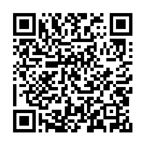 一道道璀璨的光辉从那曼陀罗华之盾上激荡而出二维码生成