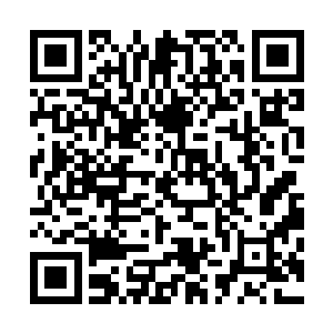 一阵阵璀璨的雷电光辉却忽然从天陨身后的虚空中激荡而出二维码生成