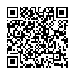 丁长生一眼就认出这是号称是中国版的劳斯莱斯的红旗l5二维码生成