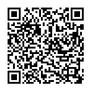 丁长生将这些叽里呱啦讲鸟语的外商扔给了王白丽和贺飞以及王海涛招呼二维码生成