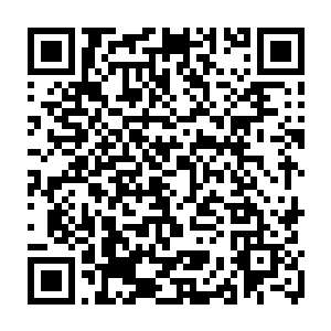 三十年来和那只圣级大圆满后期巅峰混沌兽争斗的一幕幕在脑海中回放……二维码生成