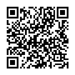 上一届取得佣兵之城第一名成绩的佣兵之王正是这位小兄弟二维码生成