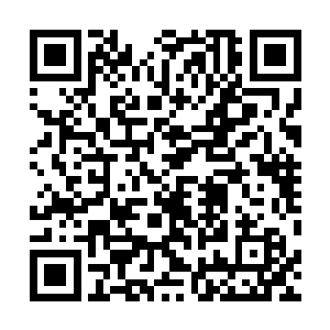 下面人不相信在大统领站稳脚后他们还能是大统领的对手二维码生成