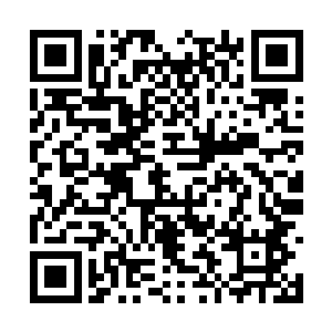 不仅将世界各地的杜家拍卖行会员和贵宾吸引而来二维码生成