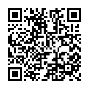 不仅是因为前两日在街上遇到墨修尧和叶璃之后二维码生成