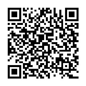 不会再拿大人引外人介入天庭内部的事或下毒的事做文章二维码生成