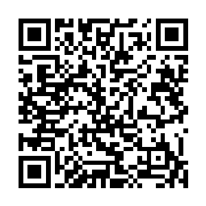 不会再有这样急速的突破就是再给他们六品混沌丹也不行二维码生成
