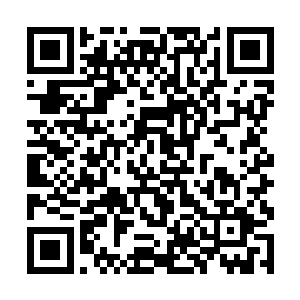 不冷不淡的将自己名字和之前就读的学校介绍了一遍二维码生成