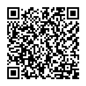 不到可以放下不管的时候……深夜毕竟对于掌握地利的独龙岗众人有好处二维码生成