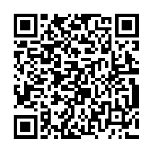 不单单一遍遍的出现在一流势力的几大家族高层口中二维码生成